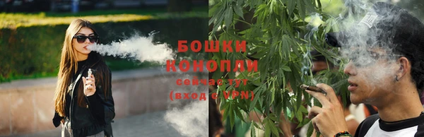 шишки Бородино
