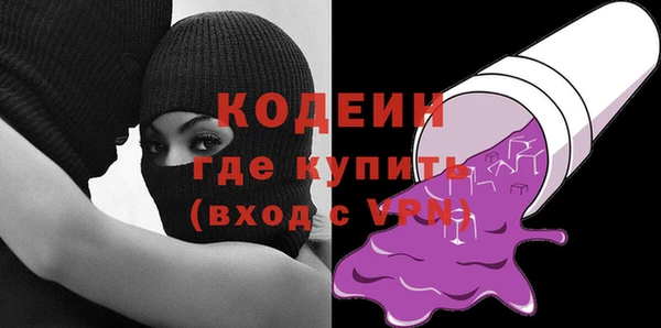 шишки Бородино