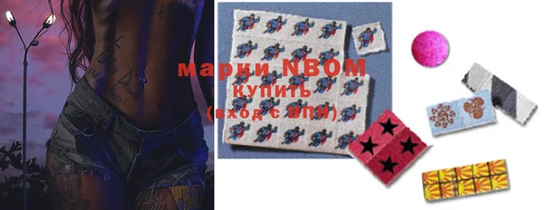 шишки Бородино