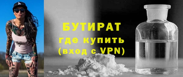 шишки Бородино