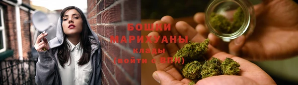шишки Бородино