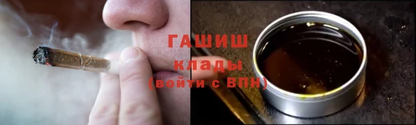 шишки Бородино