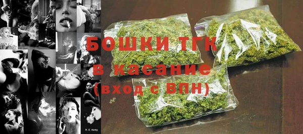 шишки Бородино