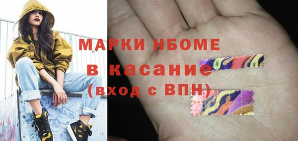 шишки Бородино