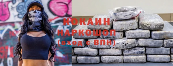 шишки Бородино