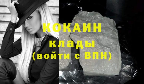 шишки Бородино