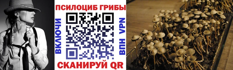 Псилоцибиновые грибы MAGIC MUSHROOMS  Коммунар 